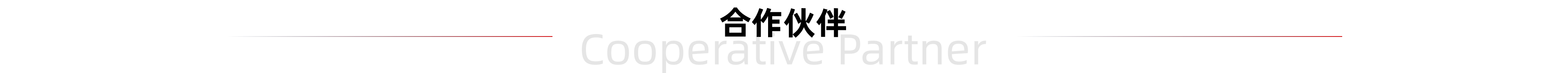 合作伙伴标题图 合作伙伴标题图